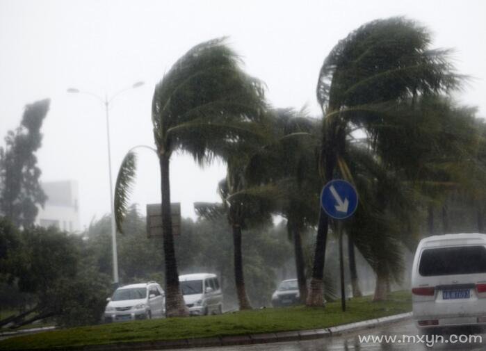 梦见狂风暴雨