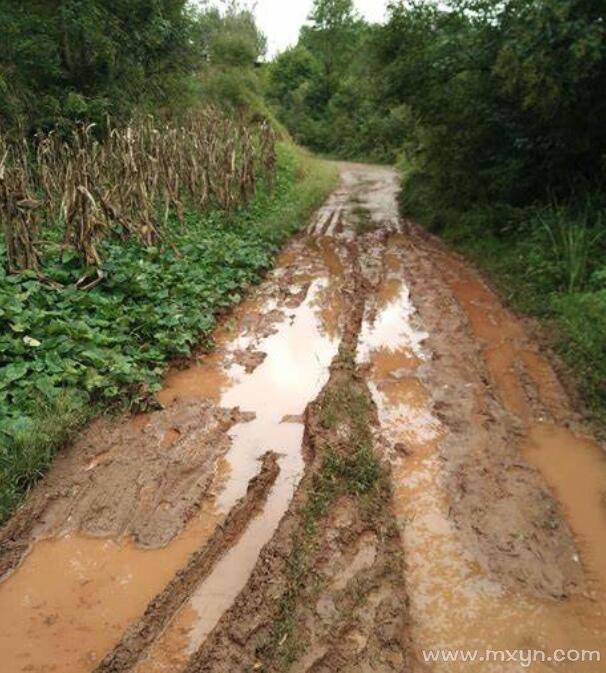 梦见道路泥泞难走