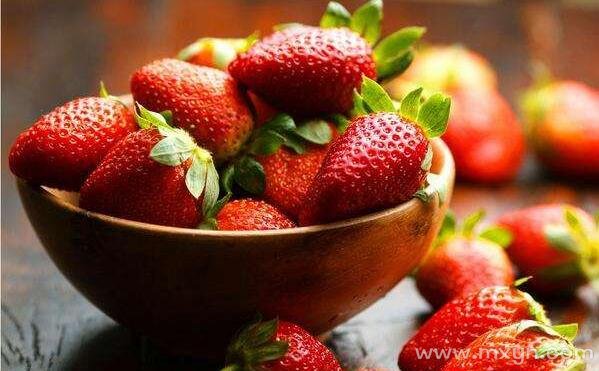 梦见草莓