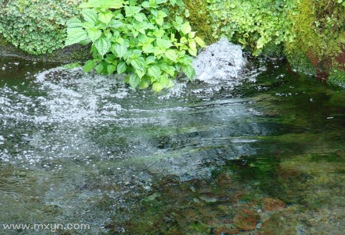 梦见水