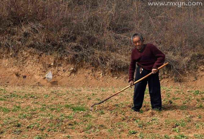 梦见挖地