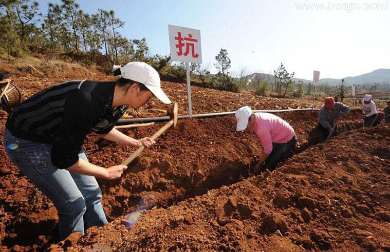 梦见挖沟