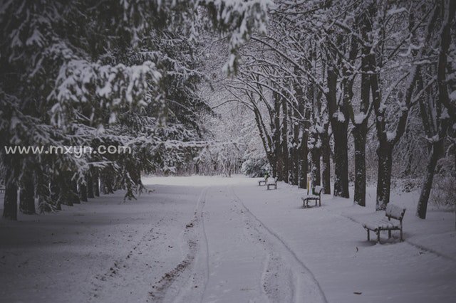 梦见下大雪