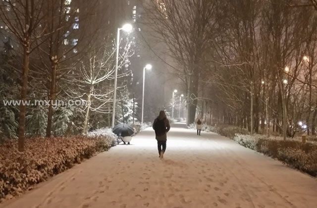 梦见地上都是雪