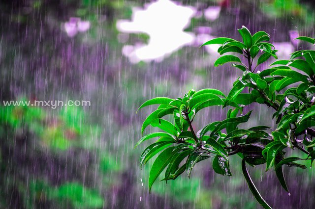 做梦梦见下大雨