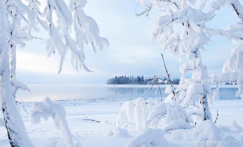 梦见大雪满地很厚