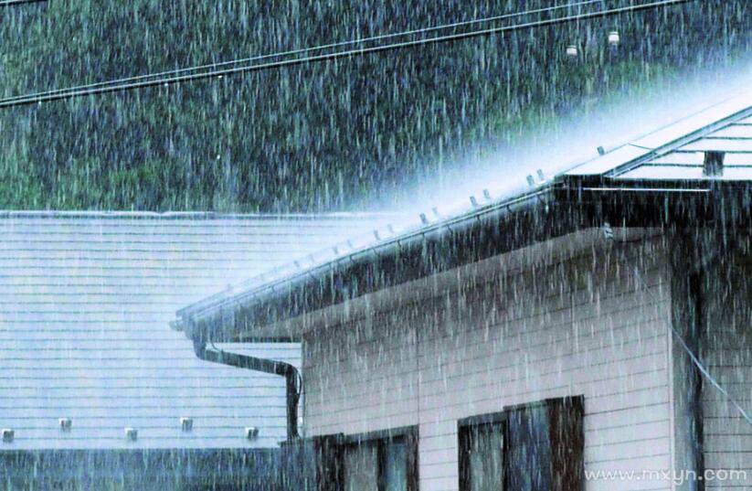 梦见大雨倾盆