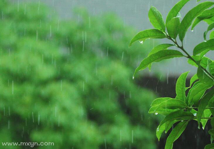 梦见下小雨