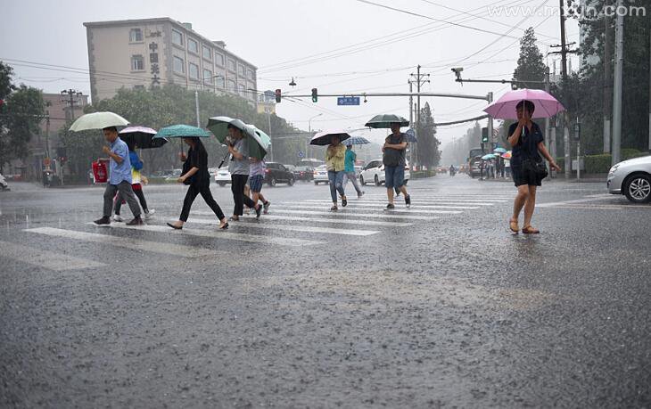 梦见大雨