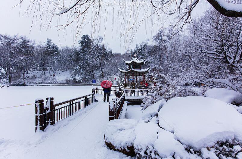 梦见雪景