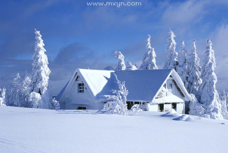 梦见雪景