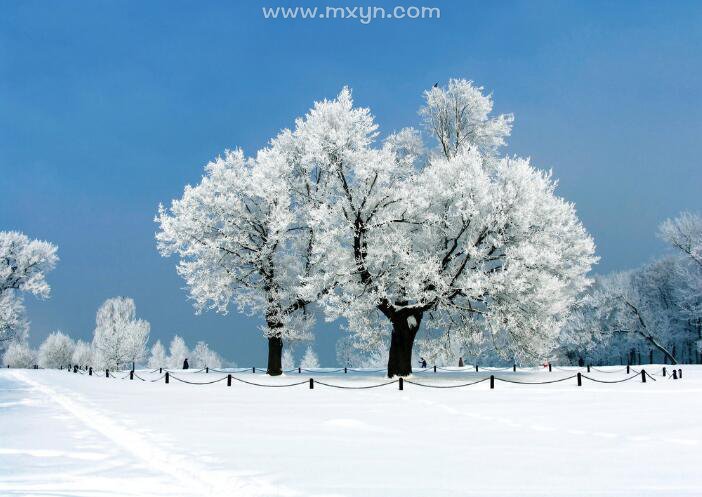 梦见雪景