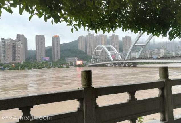 梦见河水上涨