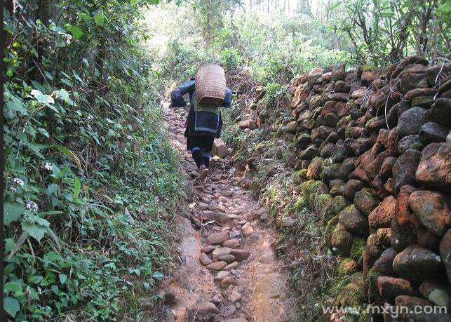 梦见路很难走