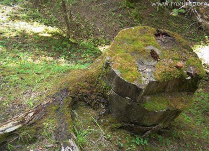 梦见自己一身屎