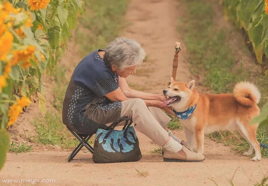 梦见去世的奶奶