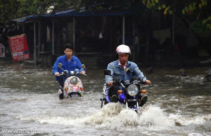 梦见大雨成河