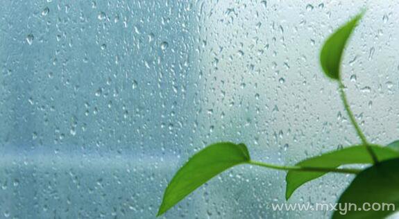 梦见打雷下雨