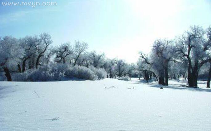 做梦梦见下雪