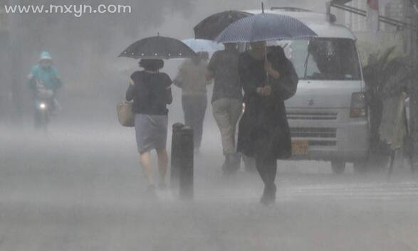 梦见下暴雨