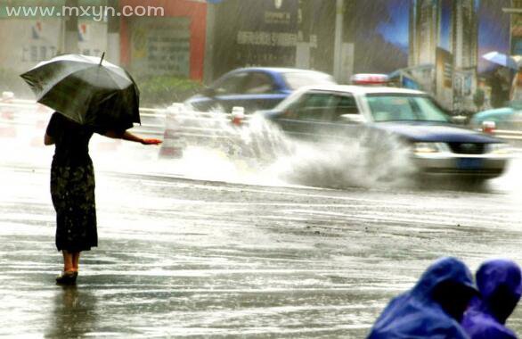 梦见下暴雨