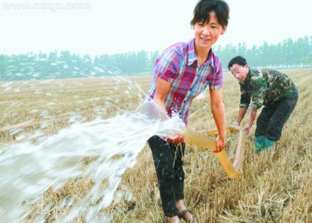 女人梦见浇地