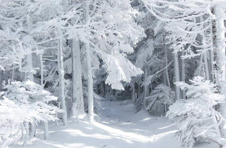 梦见冰天雪地