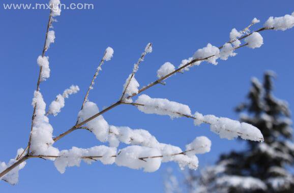 秋天梦见下雪