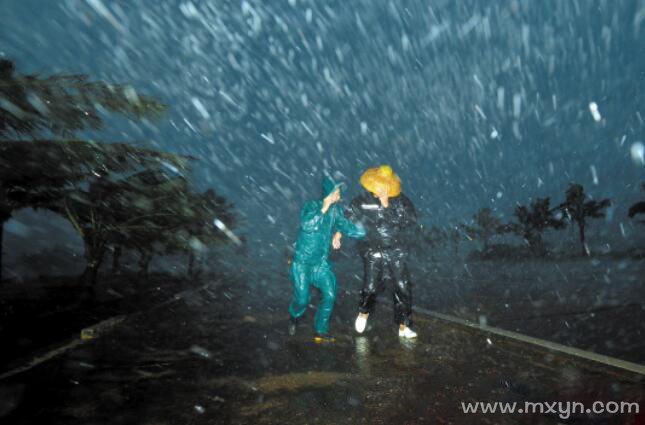 梦见狂风暴雨