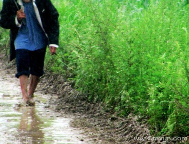 梦见走在泥泞的路上