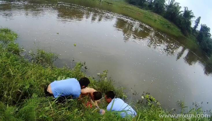 梦见落水而又爬上来