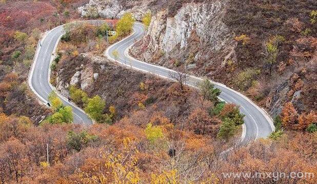 梦见走山路