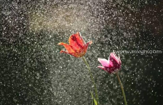 梦见下雨了