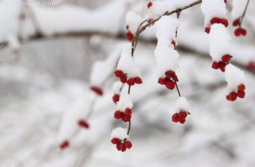 梦见大雪