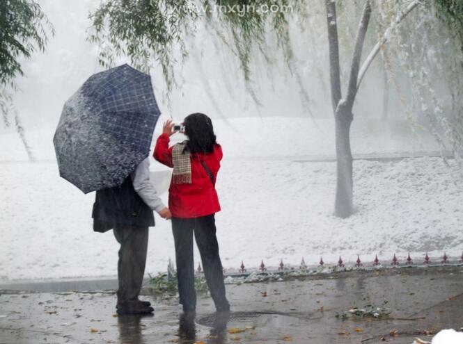 孕妇梦见下雪了