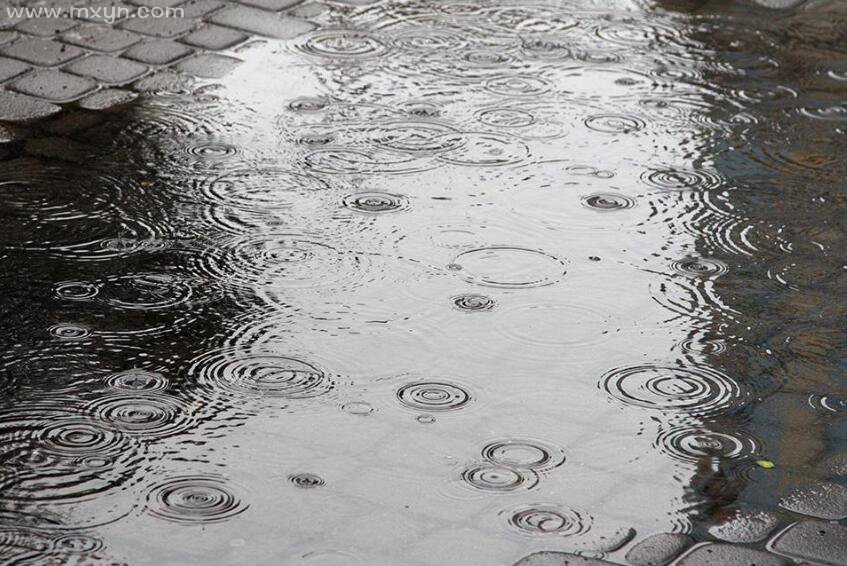 梦见下雨天