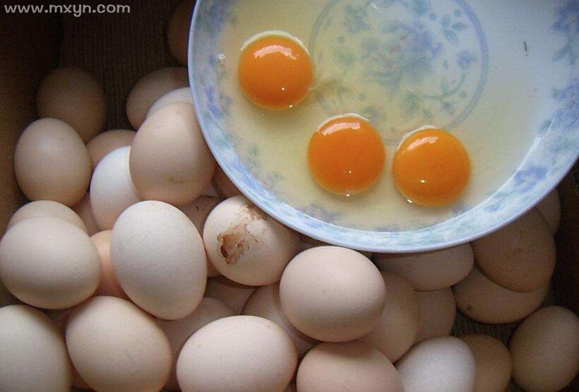 女人梦见鸡蛋