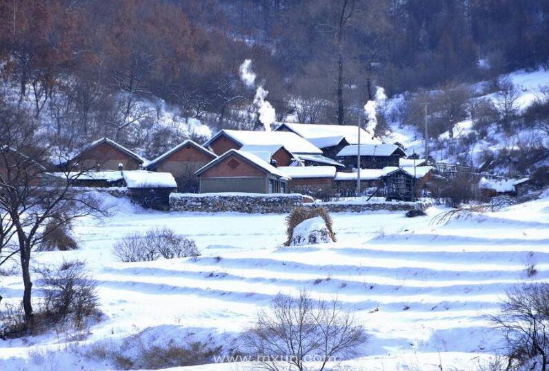 孕妇梦见雪