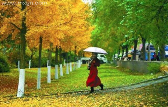 女人梦见下小雨