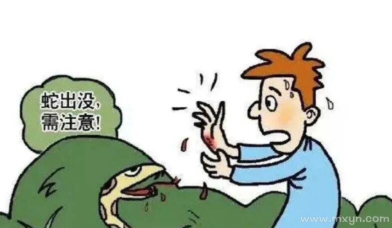 男人梦见被蛇咬