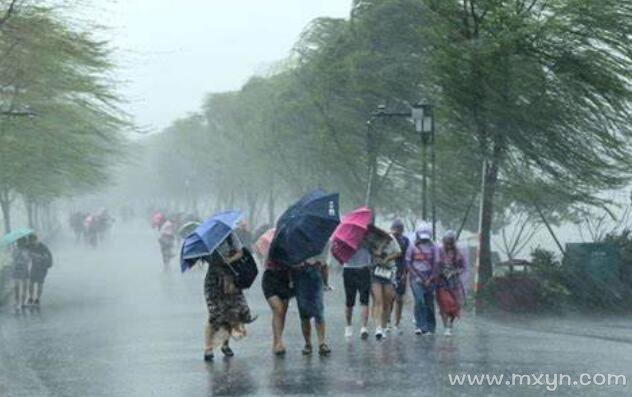 梦见狂风暴雨电闪雷鸣