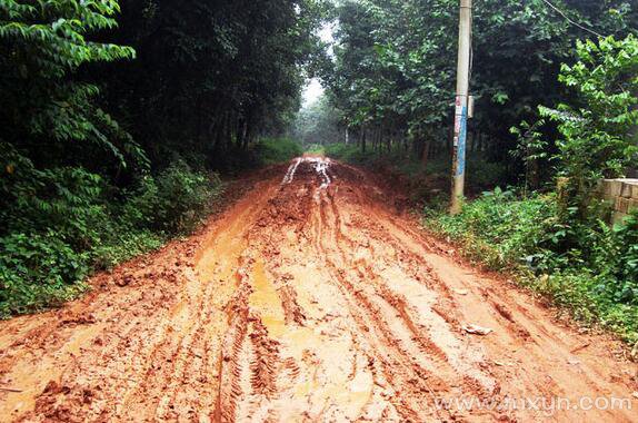 梦见道路泥泞难走