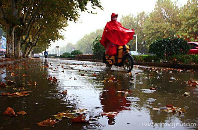 梦见下雨