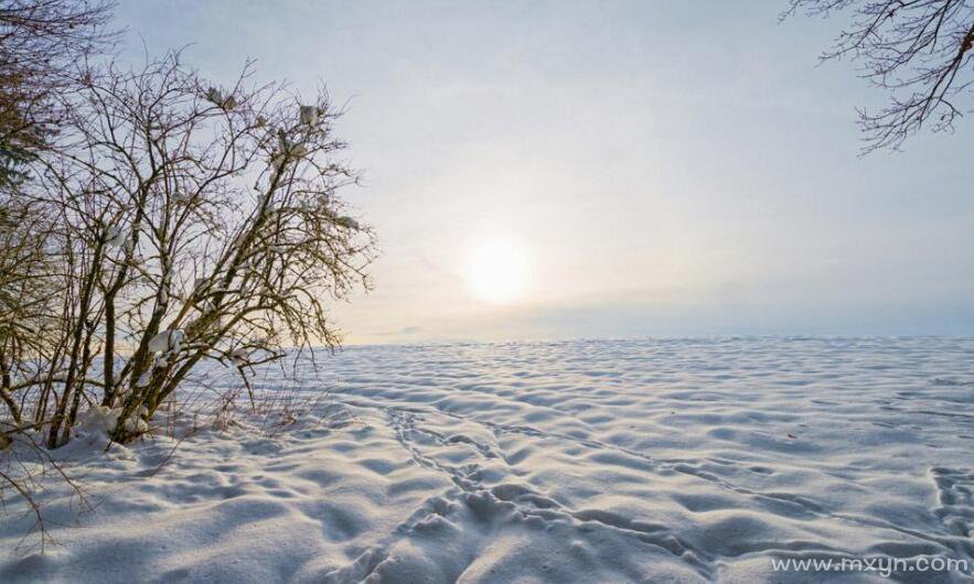 梦见雪地