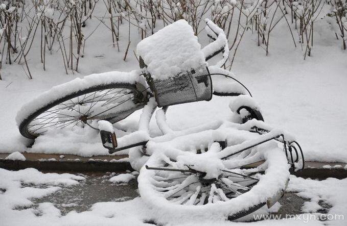 梦见雪地