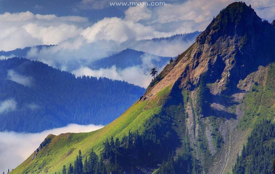 梦见高山