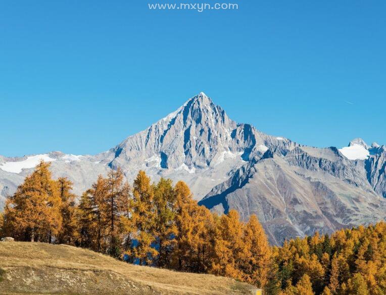 梦见高山