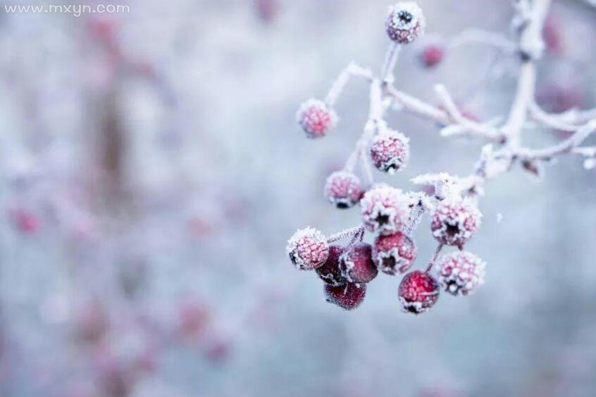 梦见下小雪