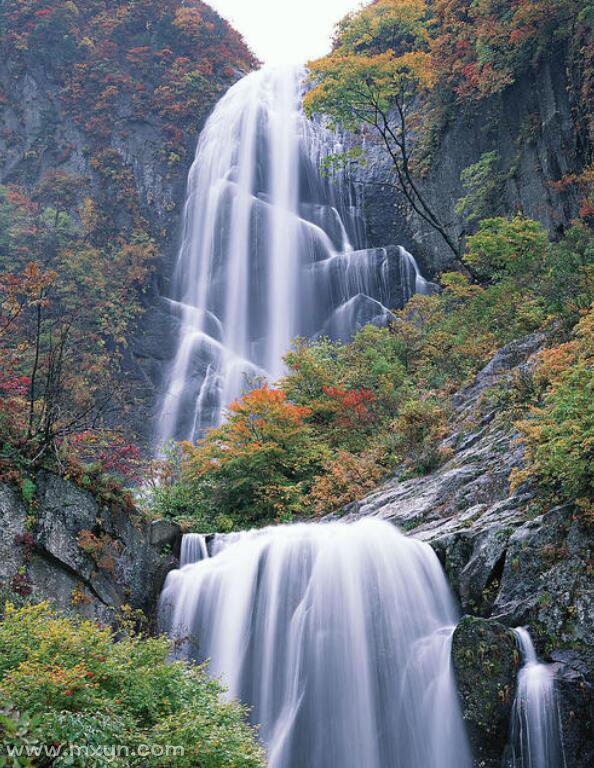 梦见高山流水