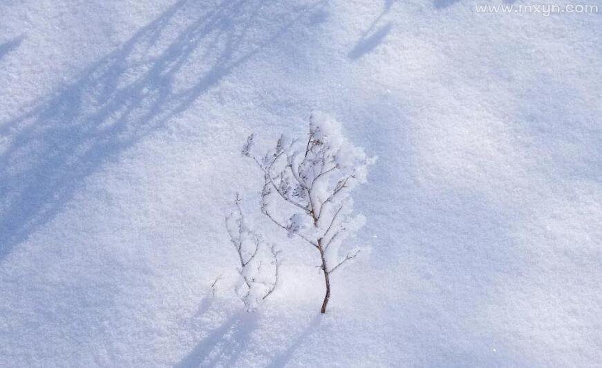 梦见地上有雪但不下雪